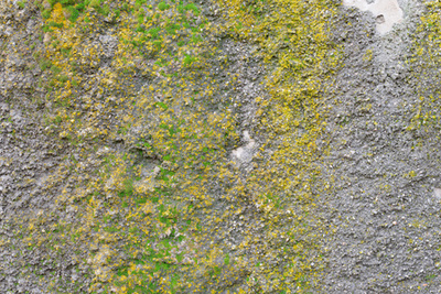 墻壁上的磨擦與裂縫